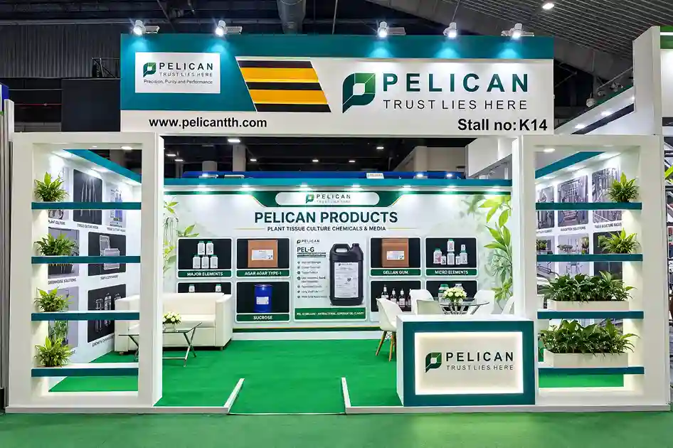 Stall project